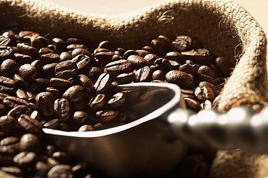 《Left Behind》PC平台免费发布 第一人称恐怖探索