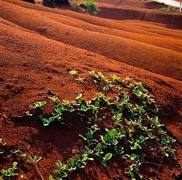 怪奇卡牌RPG《万手一体》将于2024年内发售 坠入无相无念的万手噩梦！