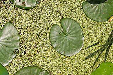 双人合作组建传送带 游戏《准备发货》一季度发售